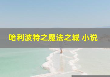 哈利波特之魔法之城 小说